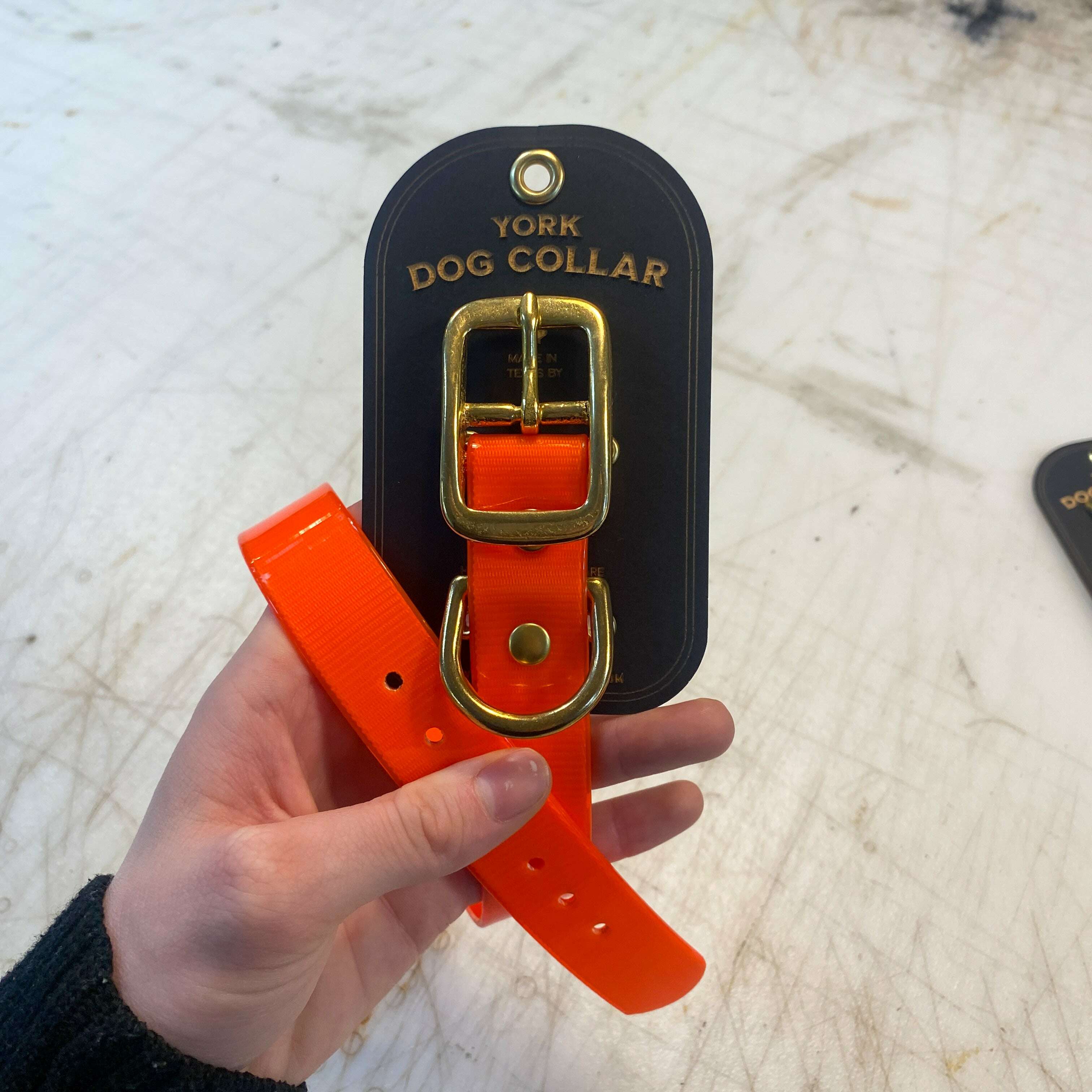 odin-york-dog-collar_-35933933